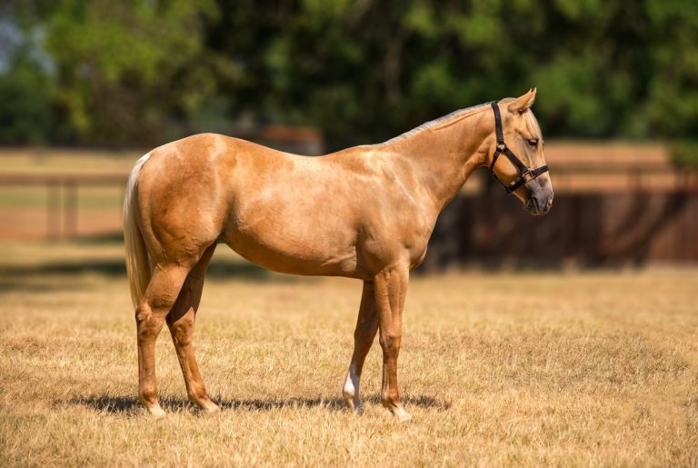 Lot 7 Keeping It Vanila