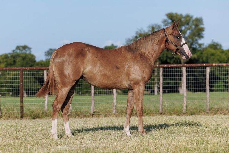 Lot 14 Little Lanita Lane