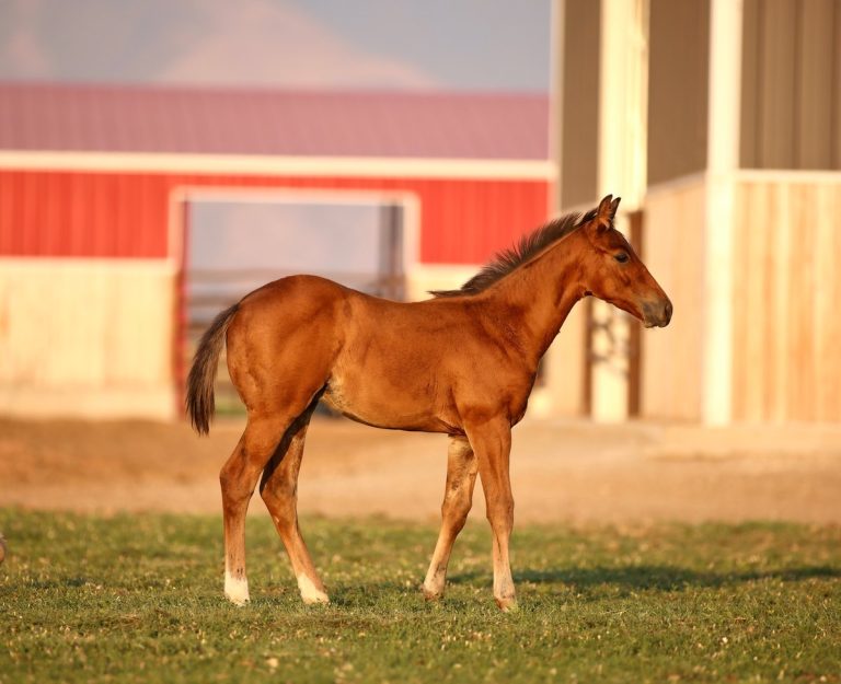 Lot 16 Hey Guys